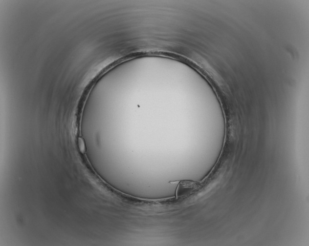 X0000114110885200910191700