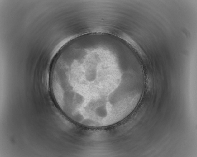 X0000114110886200910191700