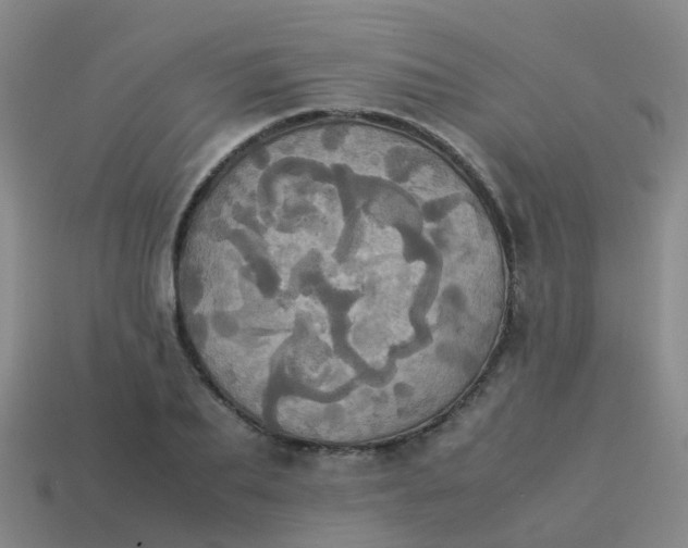 X0000114110887200910191700