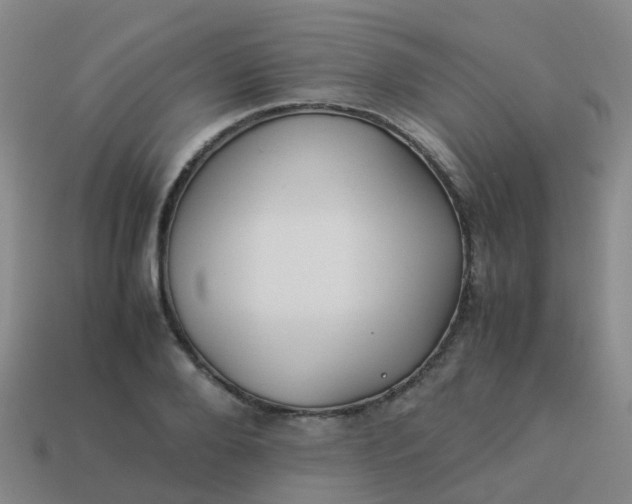 X0000114110888200910191700