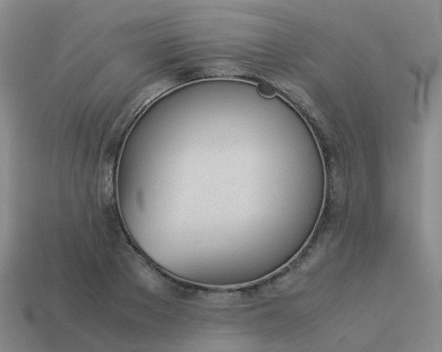 X0000114110889200910191700