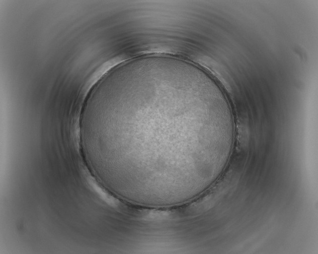 X0000114110890200910191700