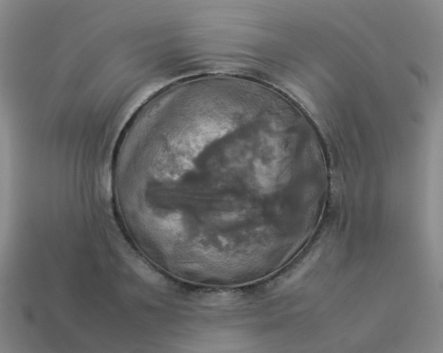 X0000114110891200910191700