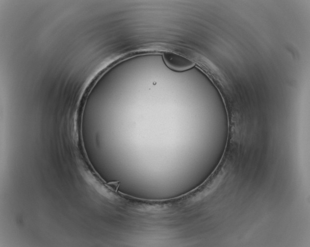 X0000114110892200910191700