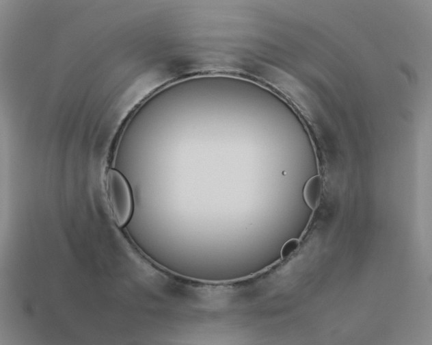 X0000114110893200910191700