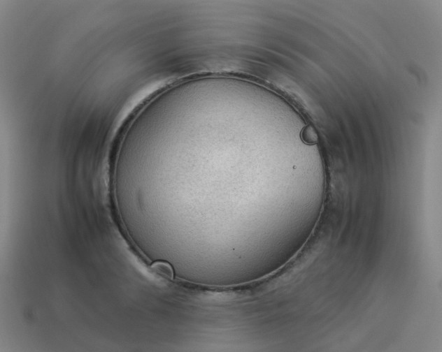 X0000114110894200910191700