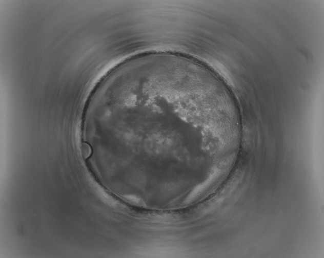 X0000114110895200910191700