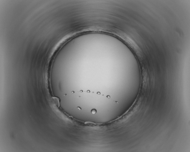 X0000114110896200910191700