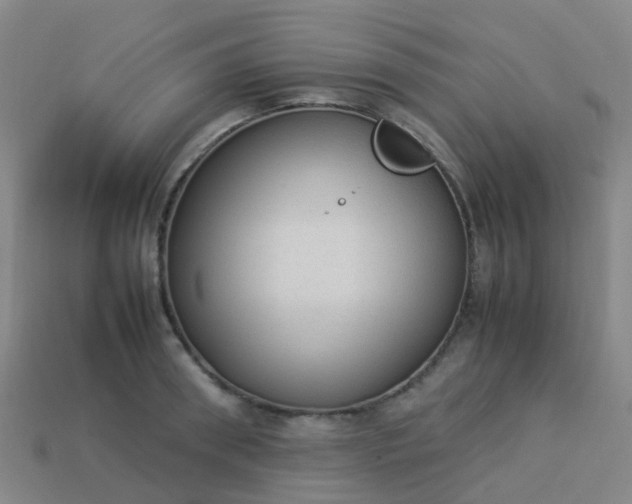 X0000114110898200910191700