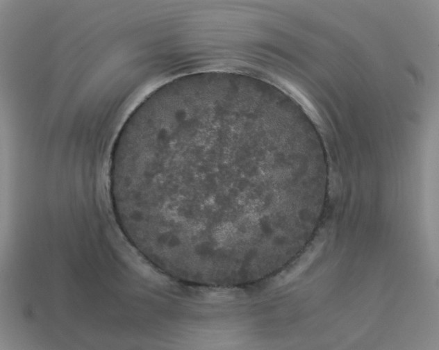 X0000114110899200910191700