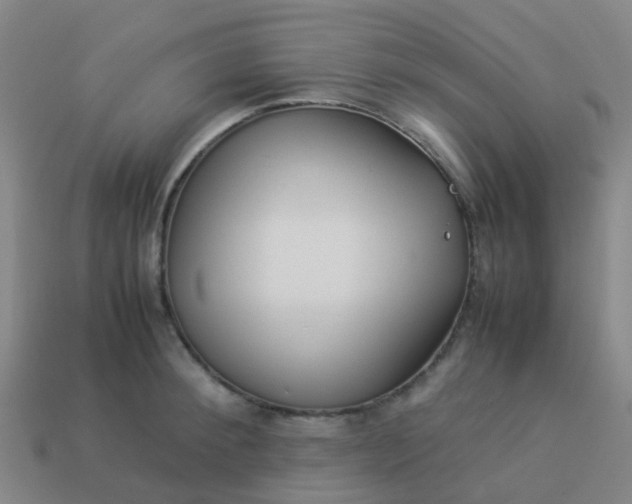 X0000114110900200910191700