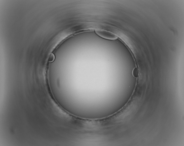 X0000114110901200910191700