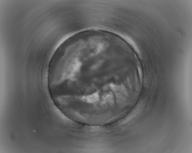 X0000114110903200910191700