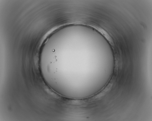 X0000114110904200910191700