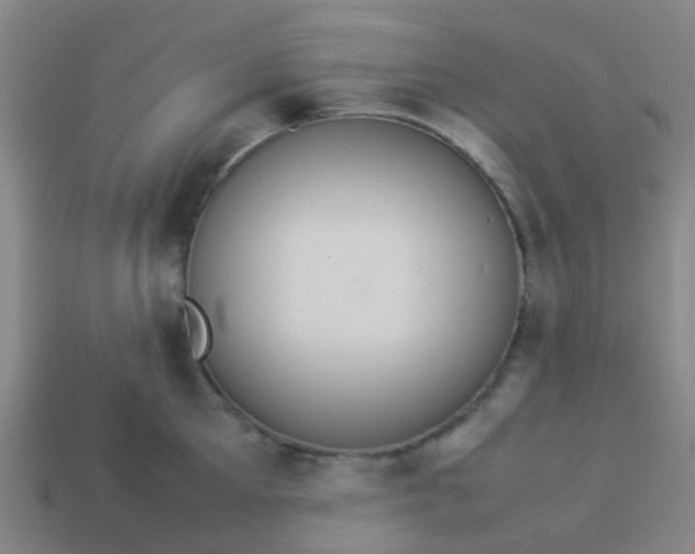 X0000114110905200910191700