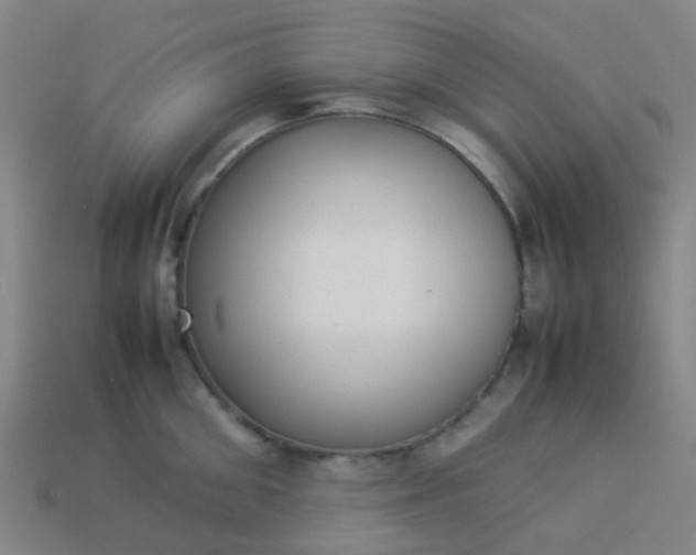 X0000114110906200910191700