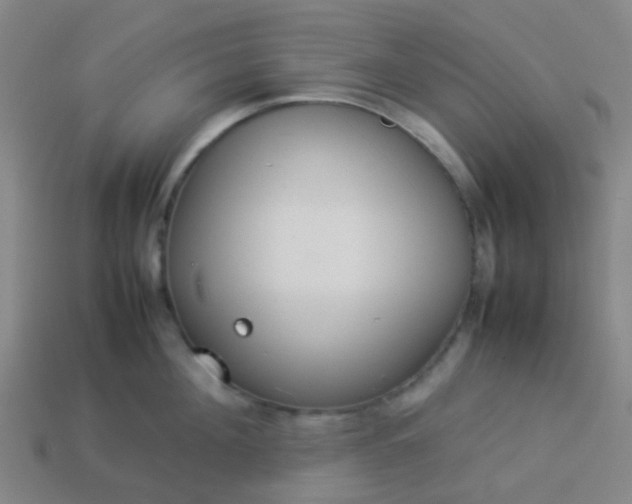 X0000114110908200910191700