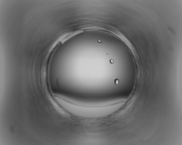 X0000114110909200910191700