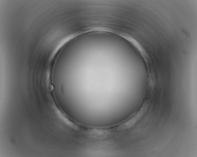 X0000114110910200910191700