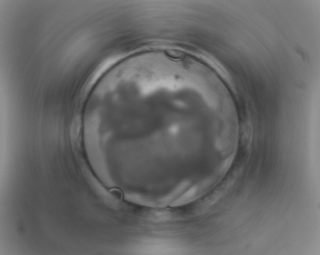 X0000114110911200910191700