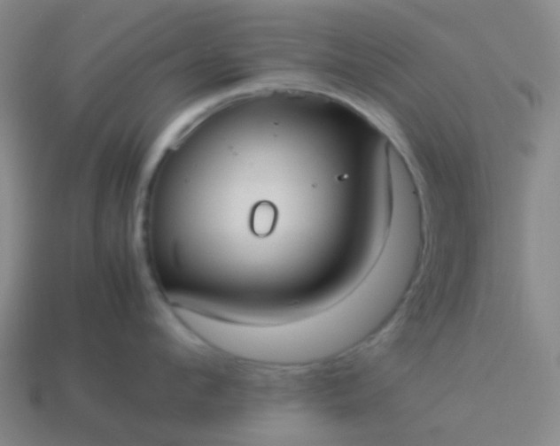 X0000114110912200910191700