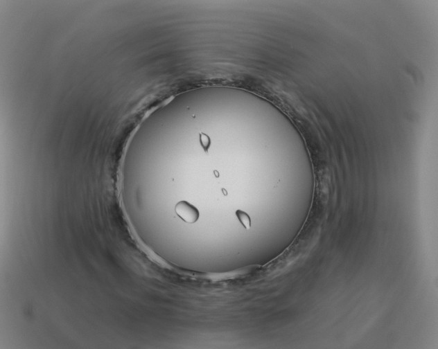 X0000114110916200910191659