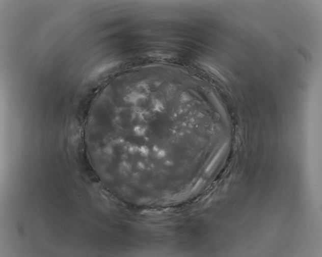 X0000114110917200910191659