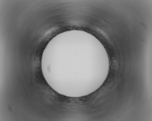 X0000114110918200910191659