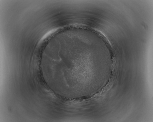 X0000114110919200910191659