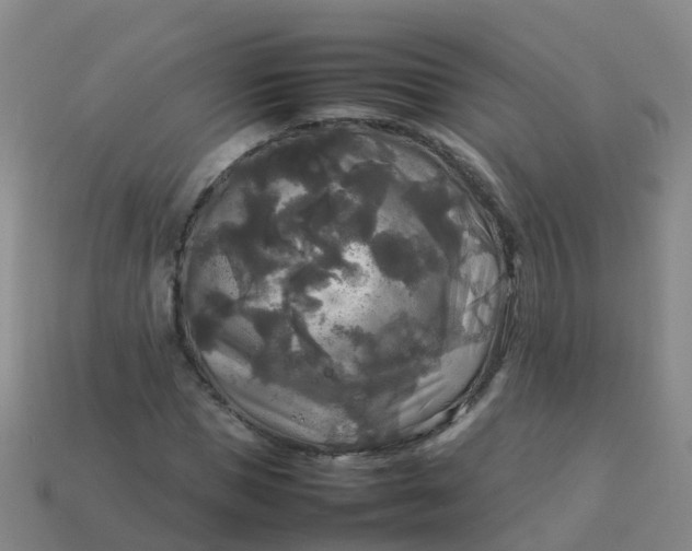 X0000114110921200910191659