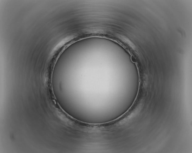 X0000114110922200910191659