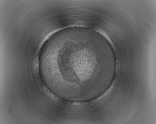 X0000114110923200910191659