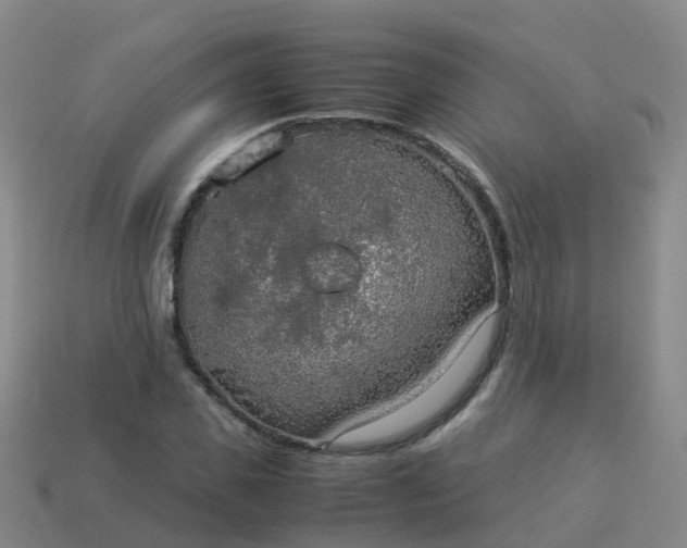 X0000114110925200910191659