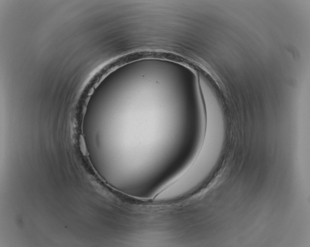 X0000114110926200910191659