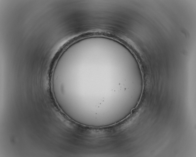 X0000114110927200910191659