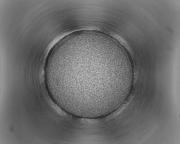 X0000114110928200910191659