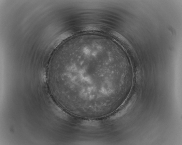 X0000114110929200910191659