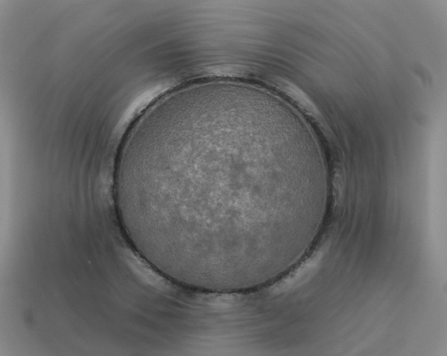 X0000114110930200910191659