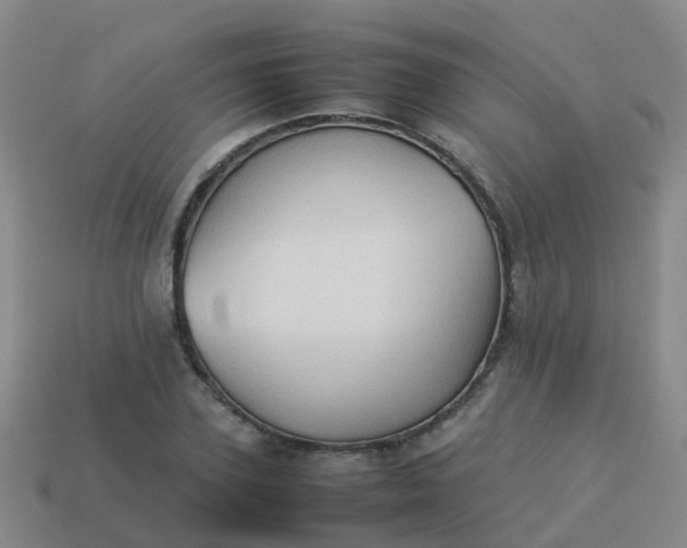 X0000114110931200910191659