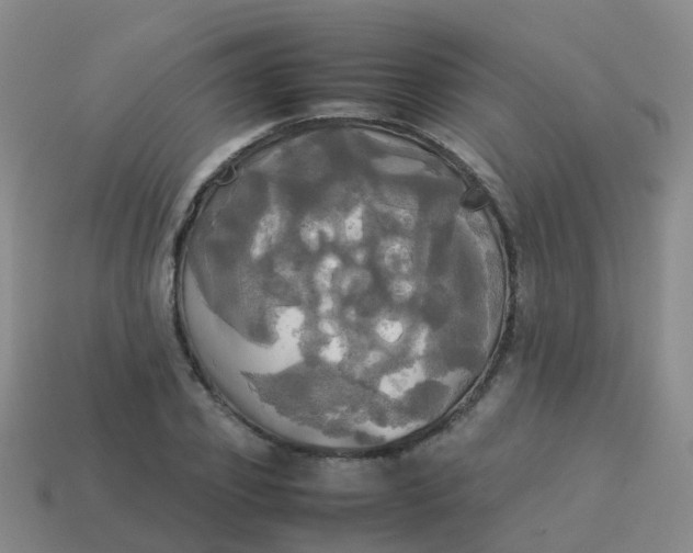 X0000114110933200910191659