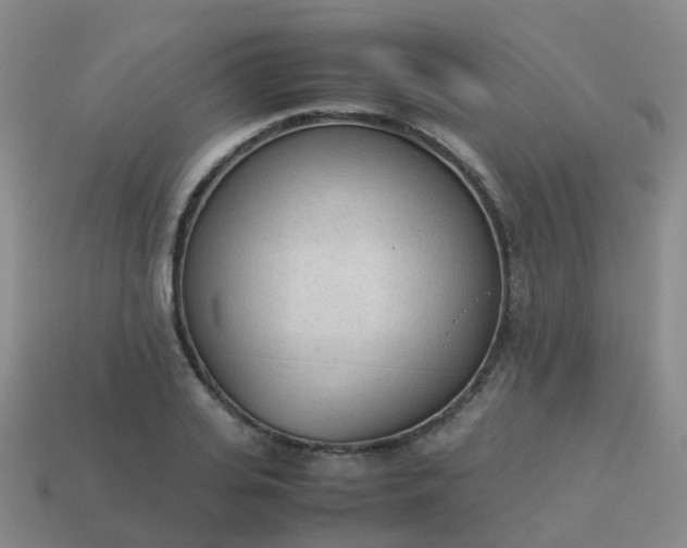 X0000114110935200910191659