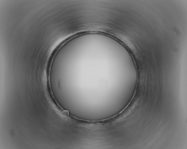 X0000114110936200910191659