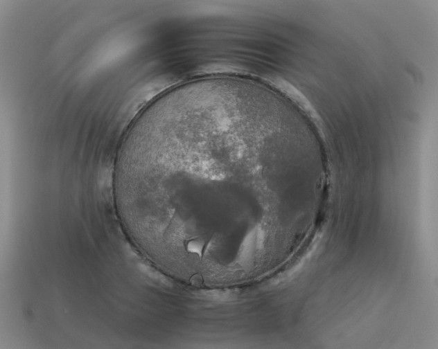 X0000114110937200910191659