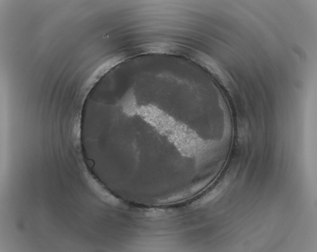 X0000114110938200910191659