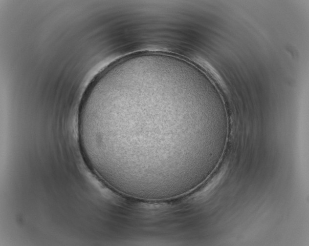 X0000114110939200910191659