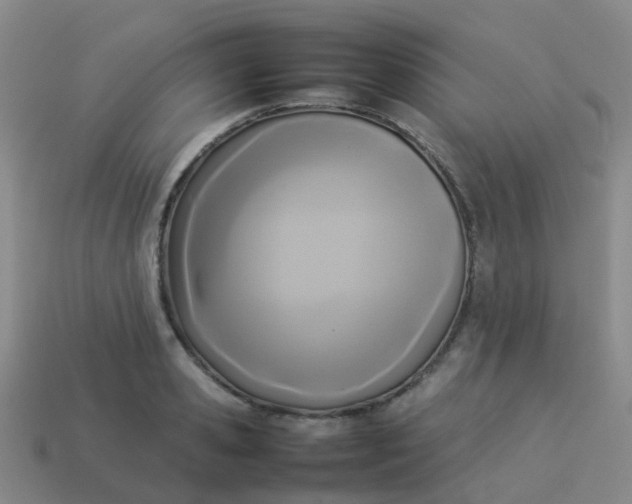 X0000114110941200910191659