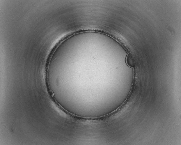 X0000114110942200910191659