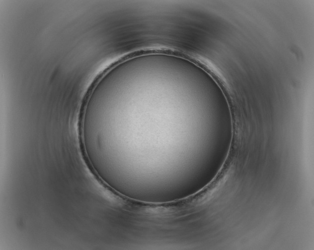 X0000114110943200910191659