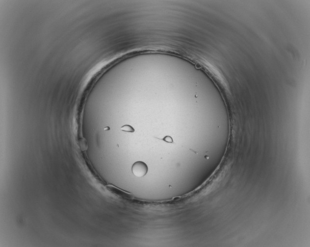 X0000114110944200910191659