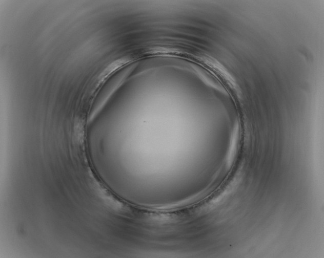 X0000114110945200910191659